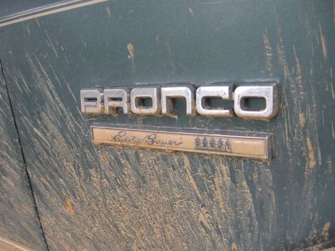 1989 Ford Bronco - Close-up of the Bronco Eddie Bauer emblem on a dirty green vehicle.
