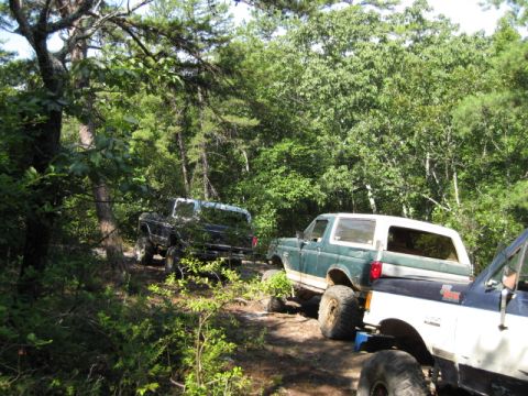 1980 Ford Bronco photo
