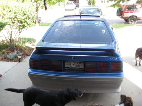 1990 Ford Mustang “Blue Stang”
