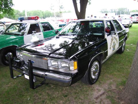 1991 Ford Crown Victoria - A black and white police car, possibly a 1991 Ford Crown Victoria, is parked on grass next to another police vehicle.