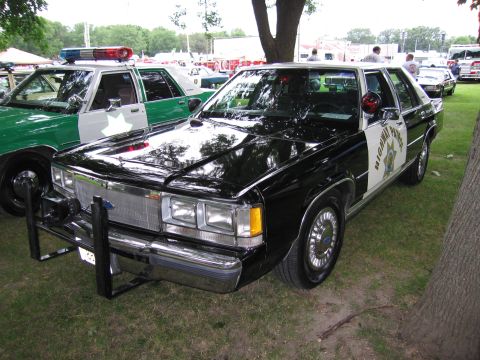 1991 Ford Crown Victoria - A black and white 1991 Ford Crown Victoria police car is parked on grass next to a green and white police car.
