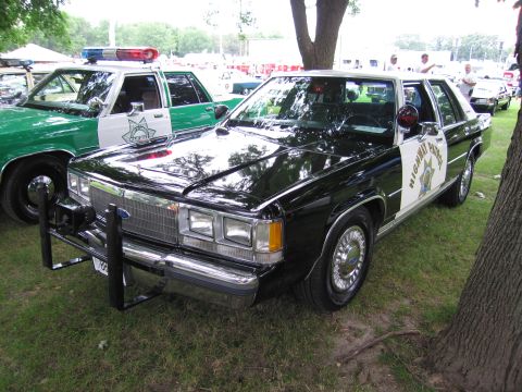 1991 Ford Crown Victoria - A black 1991 Ford Crown Victoria police car is parked next to a green and white police car.
