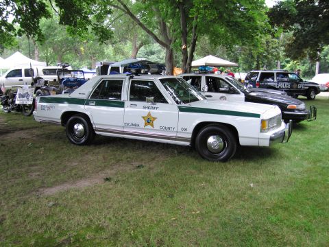 1991 Ford Crown Victoria - A white sheriff's car with a green stripe and light bar is parked on grass next to other vehicles.