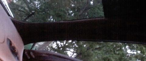 1999 Ford Taurus - Interior view of a car, showing dark trim and a portion of the door panel with trees seen through the window.