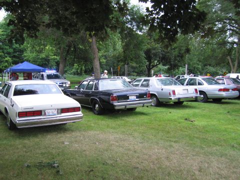 1991 Ford Crown Victoria - A row of cars, including a 1991 Ford Crown Victoria, are parked on a grassy lawn under trees.
