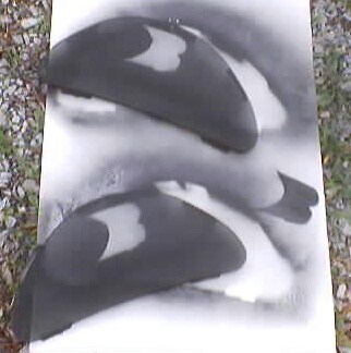 1999 Ford Taurus - A pair of curved black speaker grille covers plus a small tweeter grille laid on white paper over gravel, freshly sprayed with overspray sh…