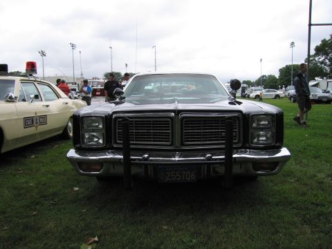 1991 Ford Crown Victoria - A black police car with a push bar is parked on grass, with another police car to its left.