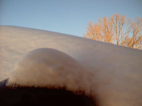 1999 Ford Taurus - A car roof is covered in snow, with bare trees visible against a clear blue sky.