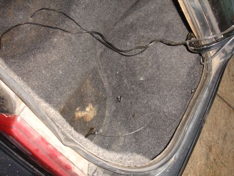 1991 Ford Taurus photo
