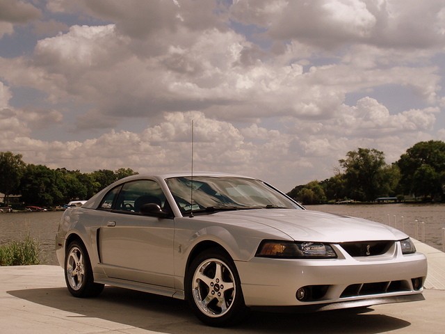 Silver coupe with a cobra emblem on the grille, parked by a body of water