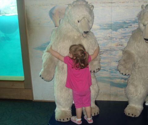 2000 Ford Crown Victoria - A young child embraces a polar bear display, with another bear visible to the right and a water exhibit to the left.