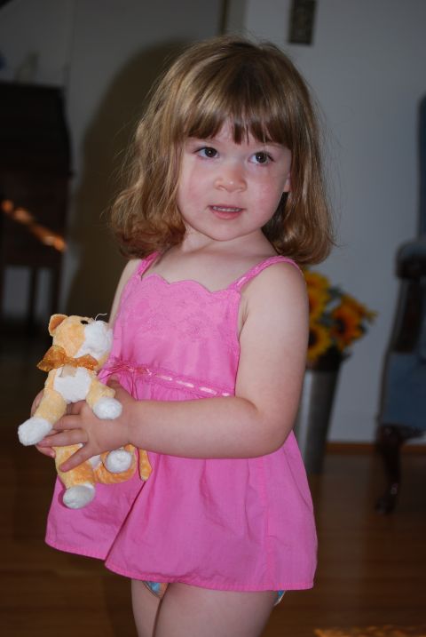 2000 Ford Crown Victoria - A young girl stands indoors holding a stuffed lion toy while wearing a pink dress.