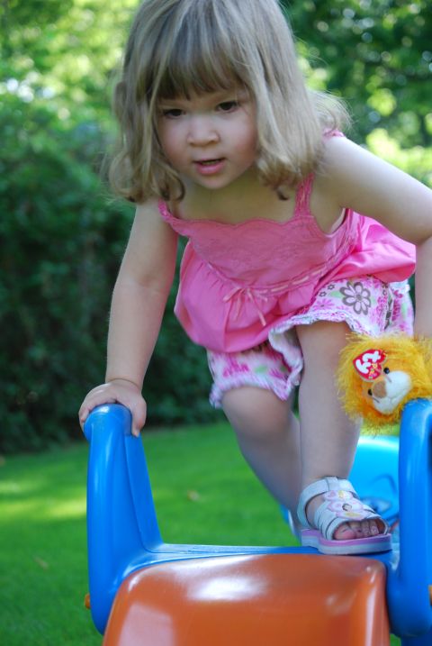 2000 Ford Crown Victoria - A young girl in a pink dress plays on a backyard slide with a stuffed animal attached to her side.