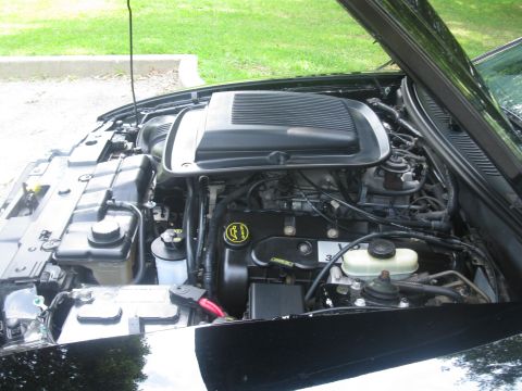 2003 Ford Mustang - The engine bay of a 2003 Ford Mustang is visible with the hood open, revealing the V8 engine and associated parts.