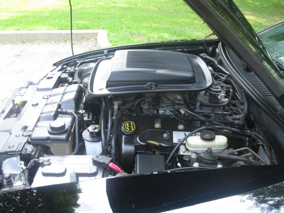 Engine bay of a 2003 Ford Mustang, showing the V8 engine and various components under the hood