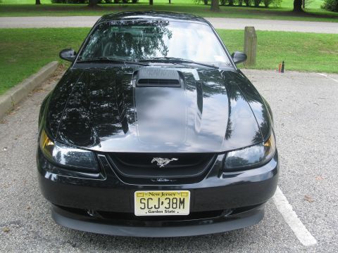 2003 Ford Mustang - A black 2003 Ford Mustang is parked outdoors, showing its front grille and license plate.