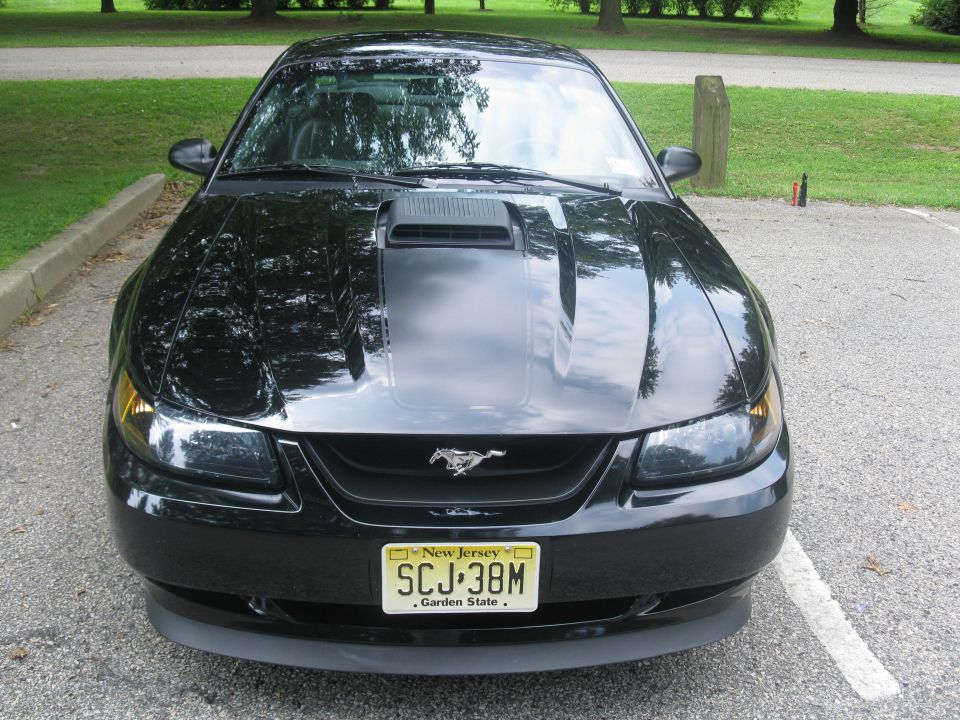 Black 2003 Ford Mustang front view, hood scoop, New Jersey license plate SCJ 38M