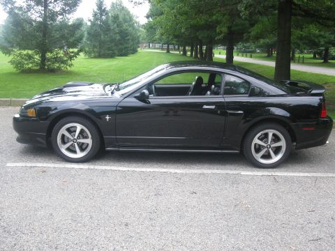 2003 Ford Mustang - Side view of a black 2003 Ford Mustang coupe parked in a lot.