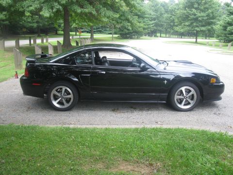 2003 Ford Mustang - Side view of a black 2003 Ford Mustang coupe in a park setting.