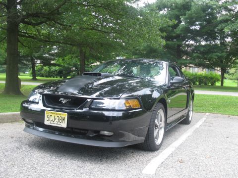 2003 Ford Mustang - A black 2003 Ford Mustang is parked in a lot with trees and grass surrounding it.