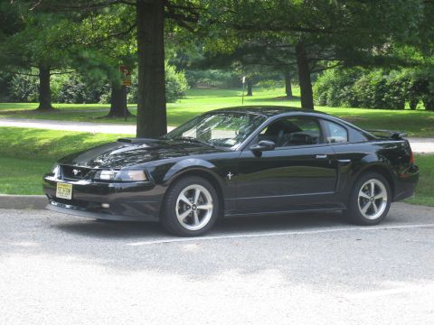 2003 Ford Mustang - A black 2003 Ford Mustang coupe is parked outdoors under trees.