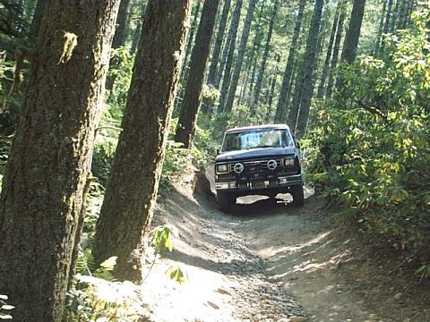 1986 Ford Bronco - The trails are wide enough for a full size.