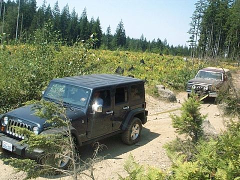1986 Ford Bronco photo
