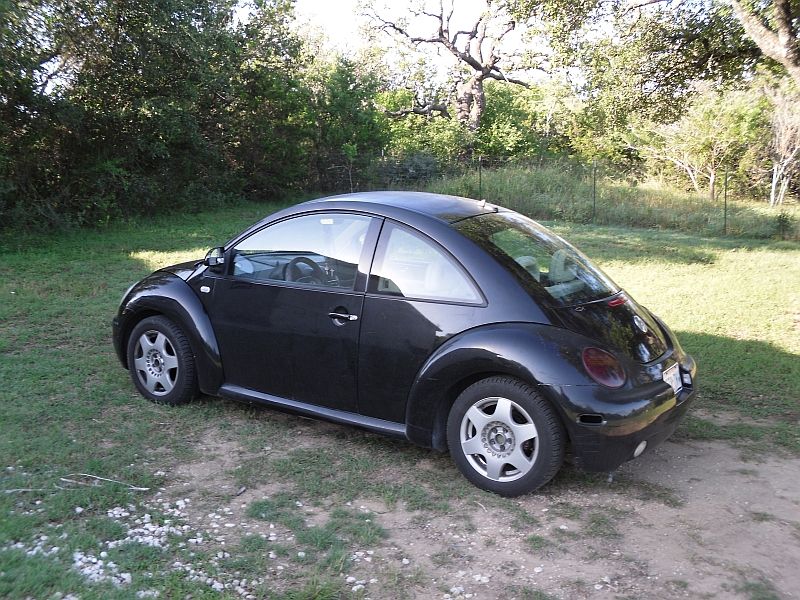 1999 Volkswagen Beetle “daisy”