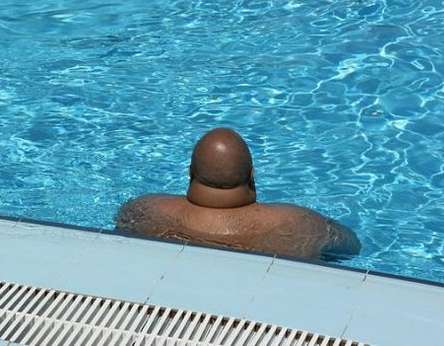 2004 Acura TL - A person is partially submerged in a swimming pool.