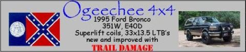 1989 Ford F-150 - This 1995 Ford Bronco is shown with modifications including a grille guard and off-road tires.