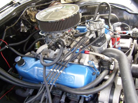 1972 Ford Ranchero - Close-up of a Ford V8 engine, blue valve covers and an MSD ignition system.