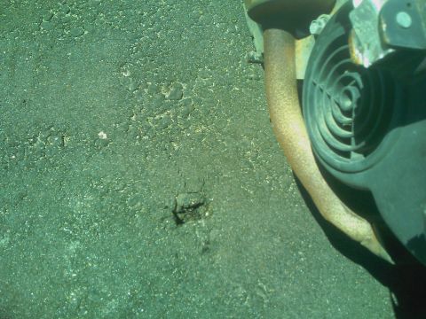 1995 Ford Bronco - A close-up view of a rusty exhaust pipe and a black fan shroud against a textured asphalt surface.