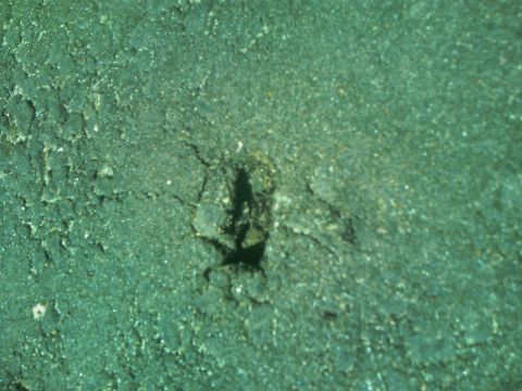 1995 Ford Bronco - A close-up view of a hole in the asphalt surface, showing cracks and texture.