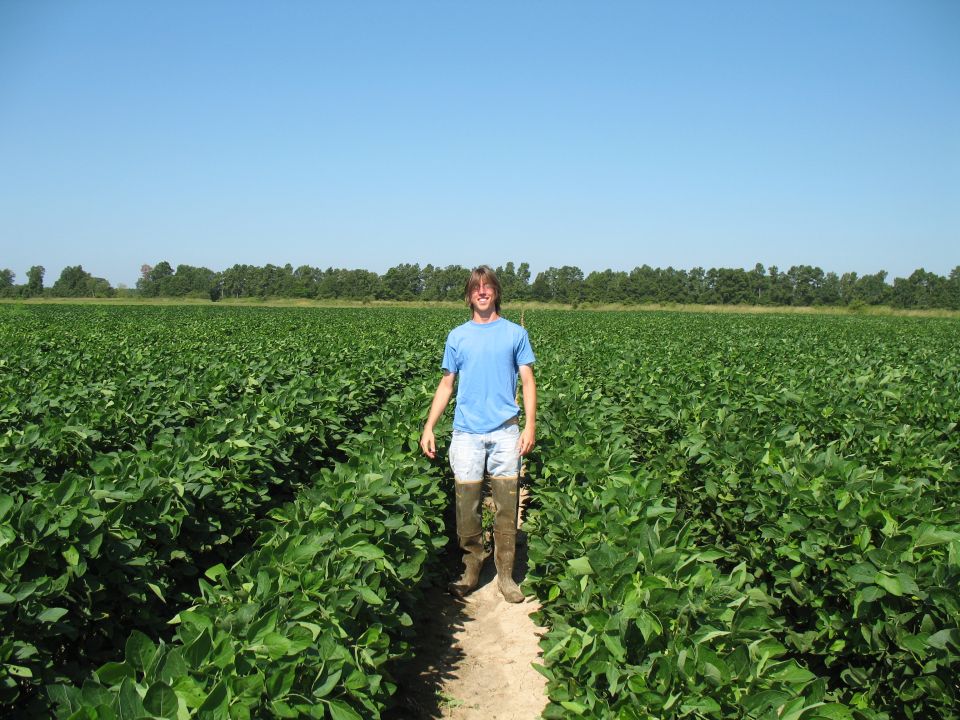 beans are waist high
