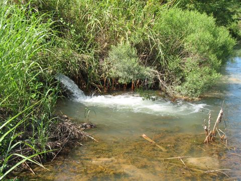 1993 Ford Bronco - little bitty well putting water in the canal
