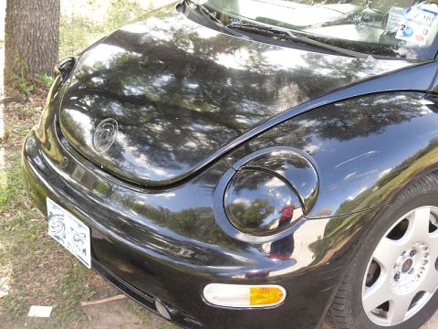 1999 Volkswagen Beetle - The front of a black Volkswagen Beetle is shown, parked outdoors with trees reflected on its hood.