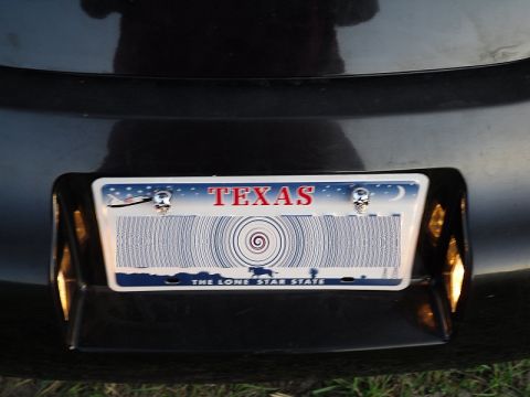 1999 Volkswagen Beetle “daisy”