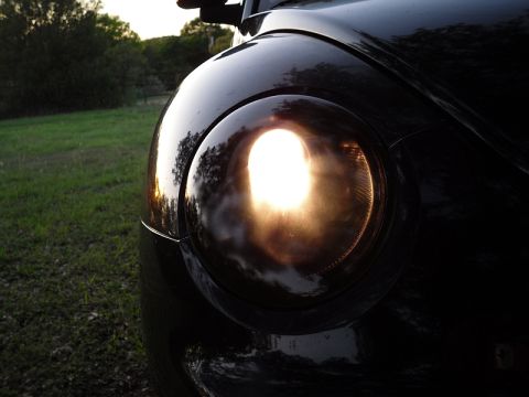 1999 Volkswagen Beetle “daisy”