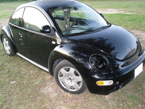 1999 Volkswagen Beetle “daisy”