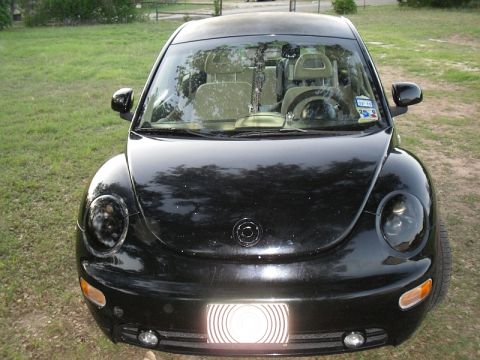 1999 Volkswagen Beetle “daisy”