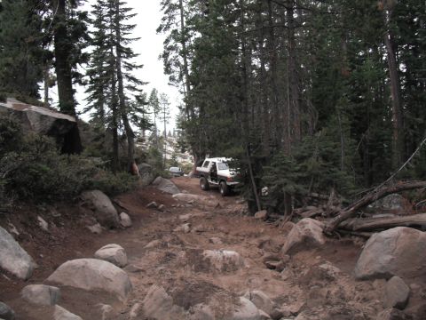 1991 Ford Bronco - A white 1991 Ford Bronco navigates a challenging, rocky trail through a dense forest, with another vehicle visible in the distance.
