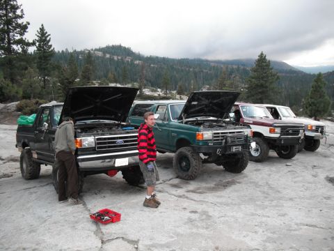 1991 Ford Bronco - Several Ford trucks and a Bronco are parked outdoors with their hoods open, suggesting maintenance or repair work.