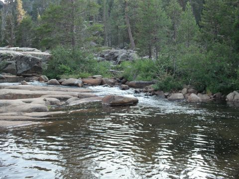 1991 Ford Bronco - A natural scene of a river flowing over rocks in a forested area.