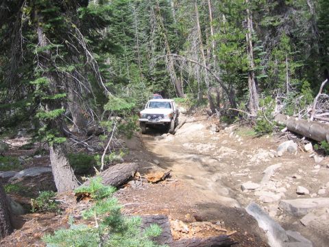 1989 Ford Bronco - A white SUV navigates a challenging, rocky path through a dense forest.