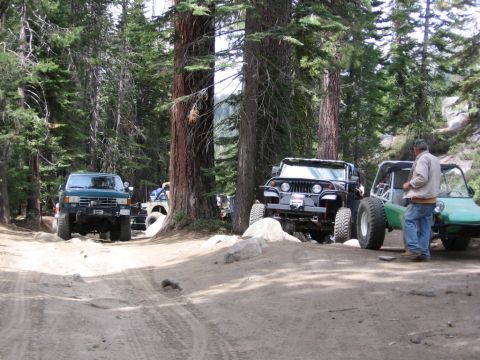 1989 Ford Bronco - A group of off-road vehicles are parked on a dirt path surrounded by tall trees in a forest setting.