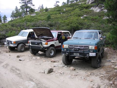 1989 Ford Bronco - Three 1989 Ford Broncos are parked on a dirt road in a wooded area. The middle vehicle's hood is open.