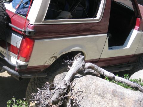 1989 Ford Bronco - A maroon and tan Ford Bronco is seen from the side, with a spare tire mounted on the rear and a lizard on a log in the foreground.