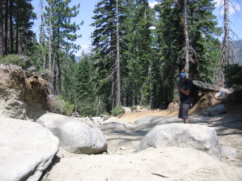 1989 Ford Bronco - A person checks their phone on a rocky off-road trail surrounded by tall pine trees.