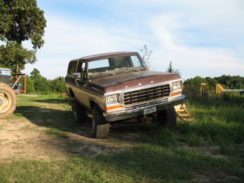 1979 Ford Bronco - stuffed