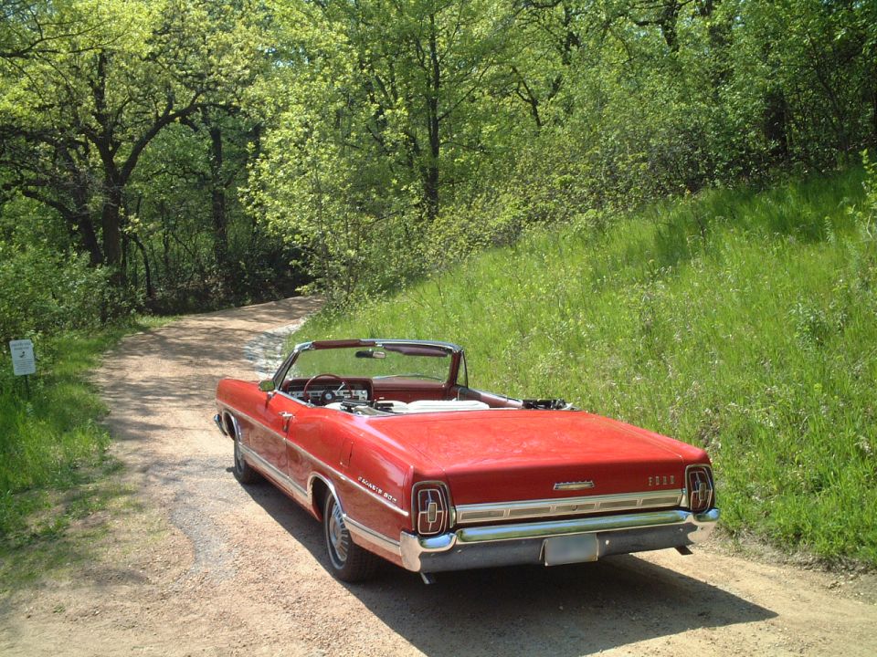Rear view of red vintage Ford convertible parked on a wooded dirt road